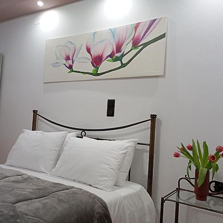 Vaso'S Appartments A Mesolóngion エクステリア 写真