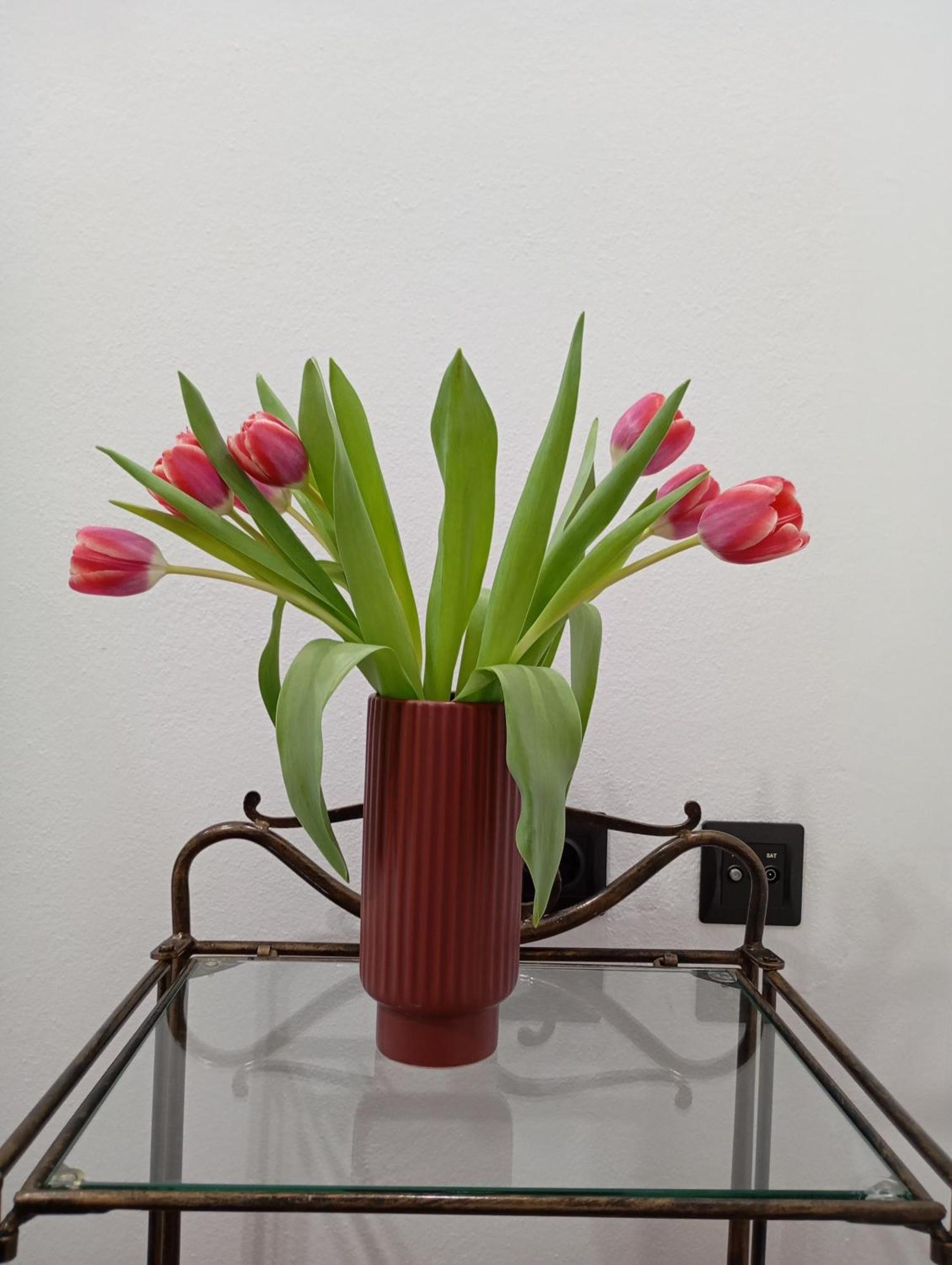 Vaso'S Appartments A Mesolóngion エクステリア 写真