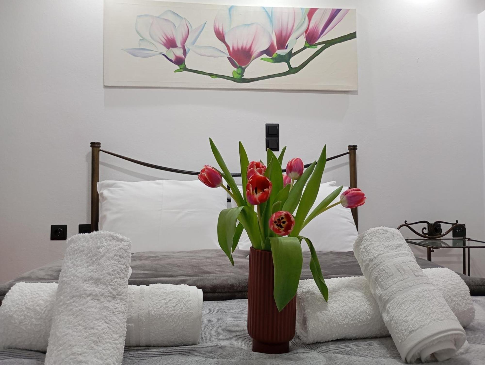 Vaso'S Appartments A Mesolóngion エクステリア 写真