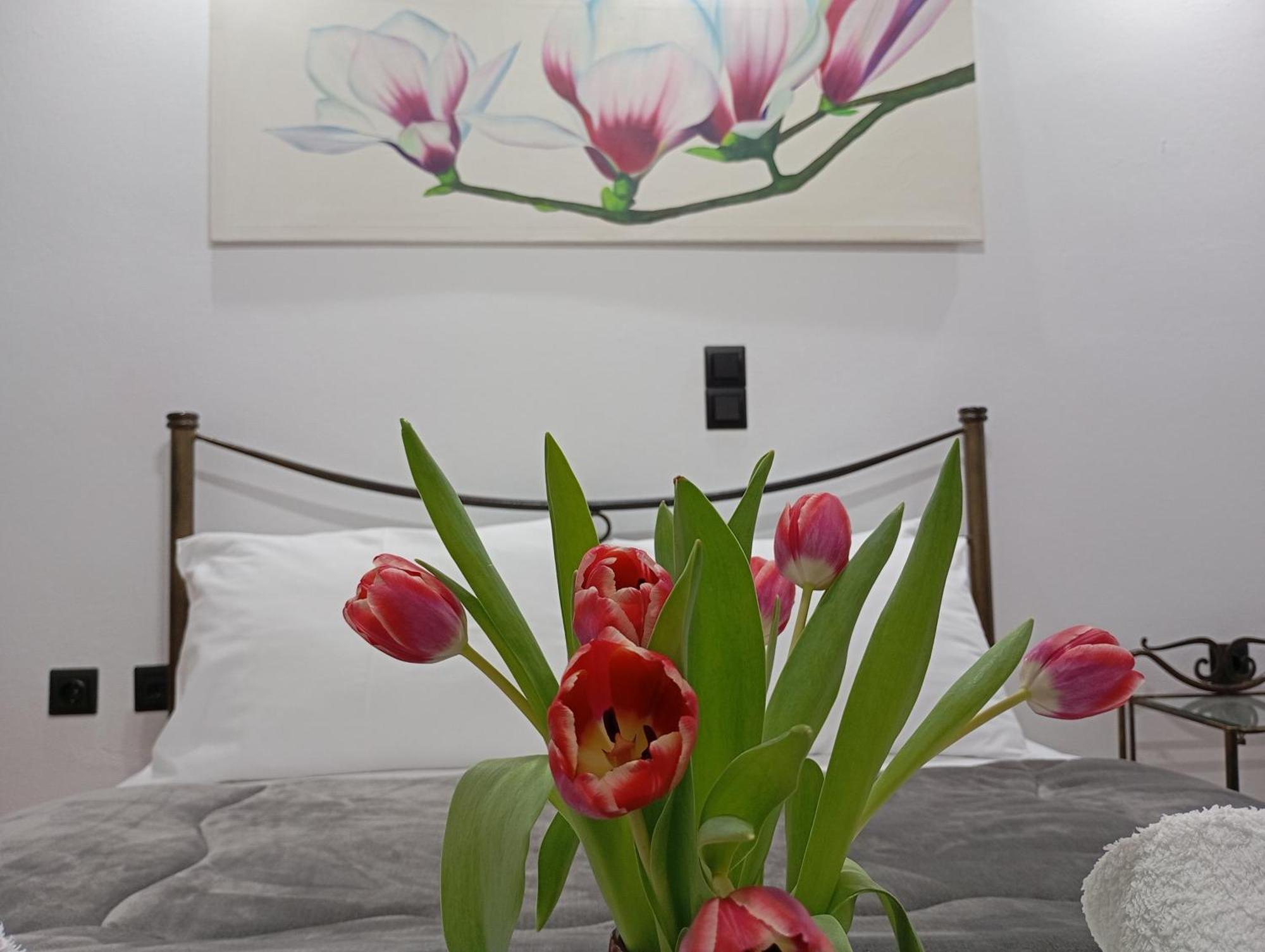 Vaso'S Appartments A Mesolóngion エクステリア 写真
